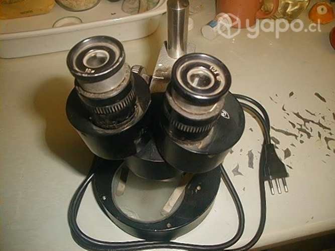 Microscopio binocular