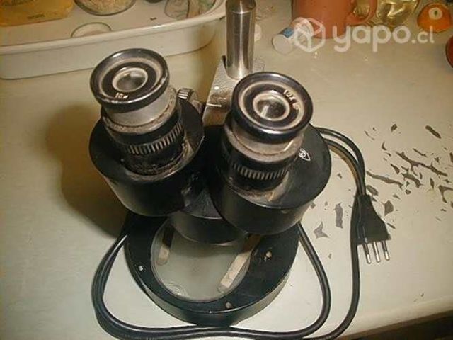 Microscopio binocular