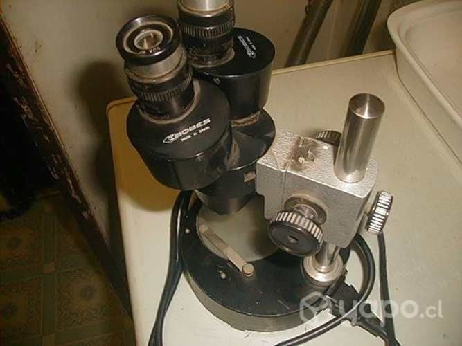 Microscopio binocular