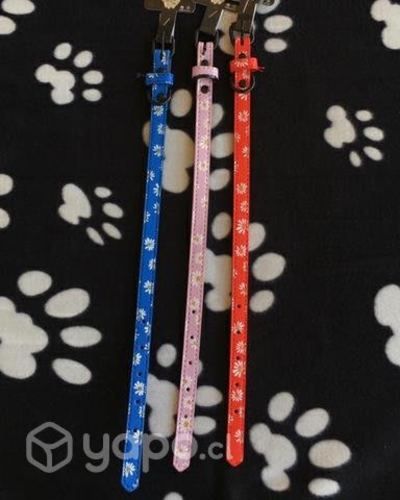Collar Floreado Mascotas