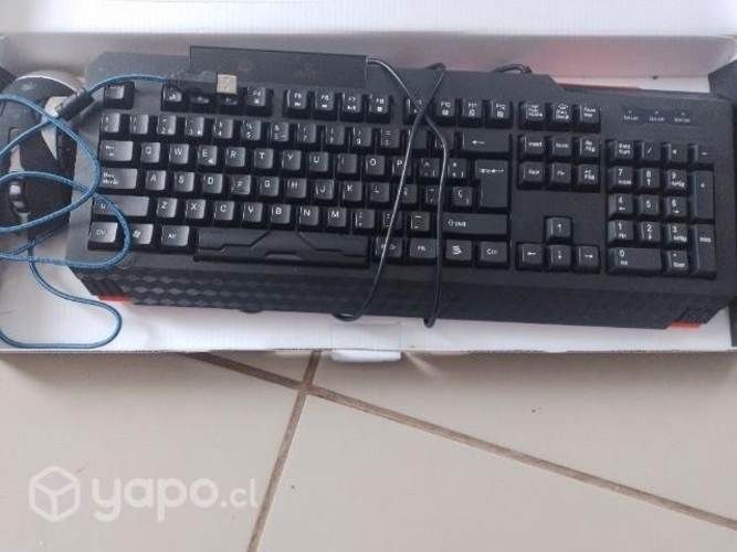 Teclado gamer mirar la descripcion
