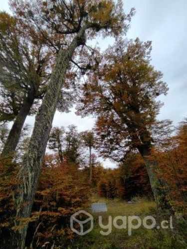 Parcela mirador lago polux