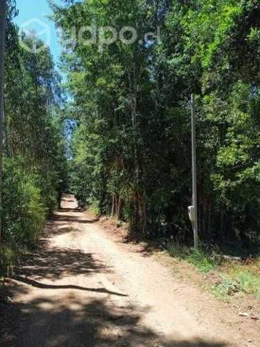 Parcela última oferta