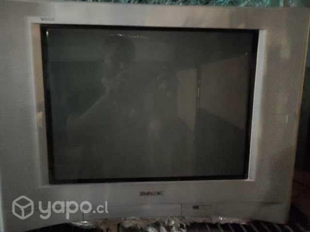 Televisor Sony 21 pulgadas