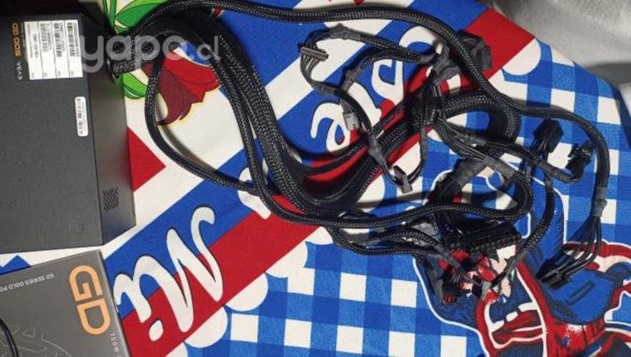 Fuente de poder EVGA 500GD