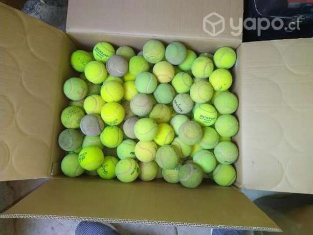 lote pelotas de tenis