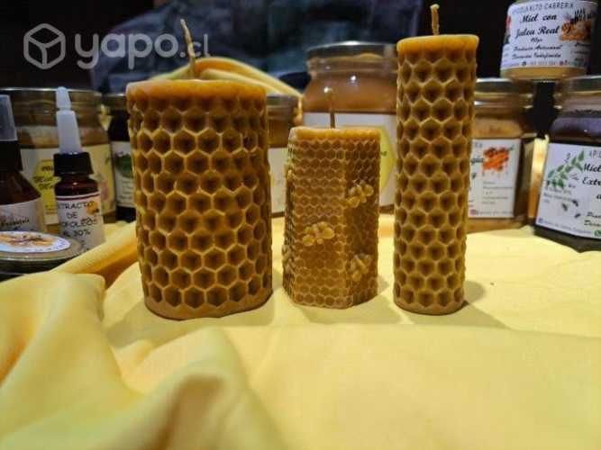 Miel en variedades, propoleos, polen, jalea real