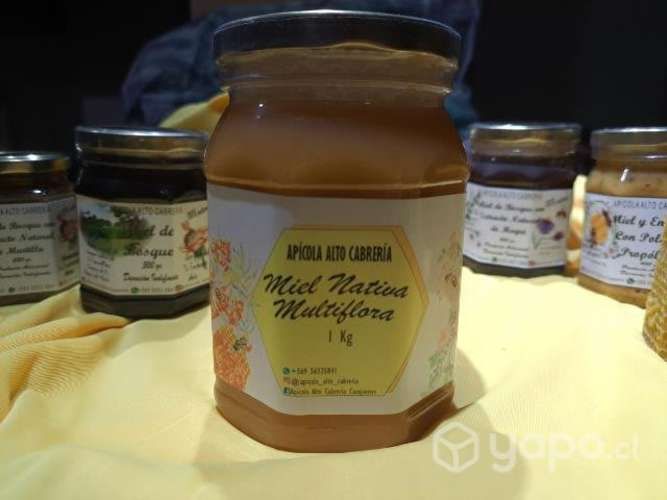 Miel en variedades, propoleos, polen, jalea real