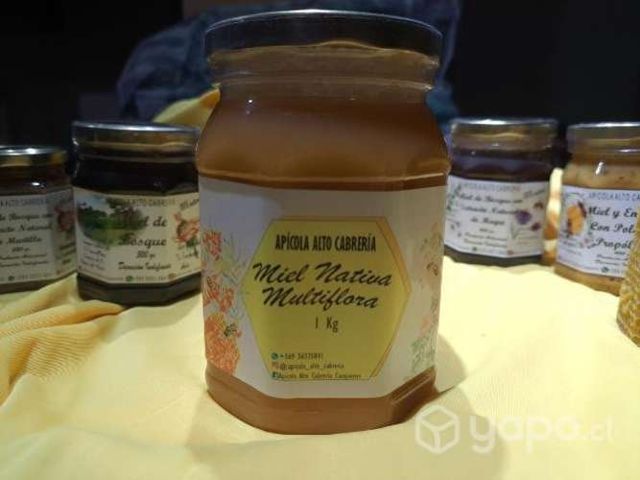 Miel en variedades, propoleos, polen, jalea real