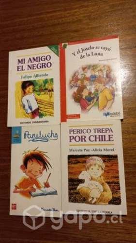 Lote de libros