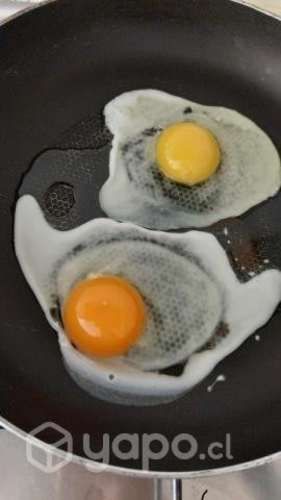 Huevos de campo(parral)