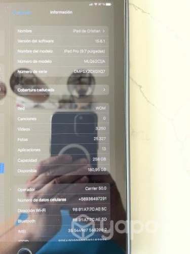 Ipad 9,7 wifi+celular 256gb