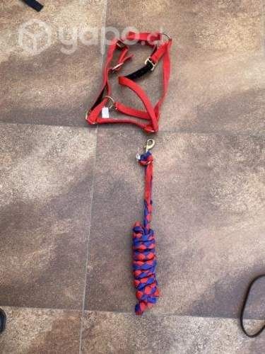 Jaquima con cuerda para caballos
