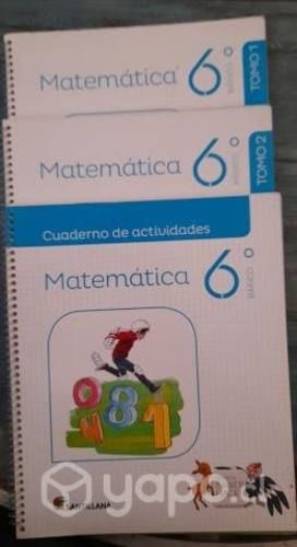 Libros santillana sexto basico
