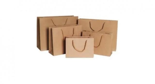 Bolsas Papel Kraft Apaisada 24x33x8 Cm. (docena)