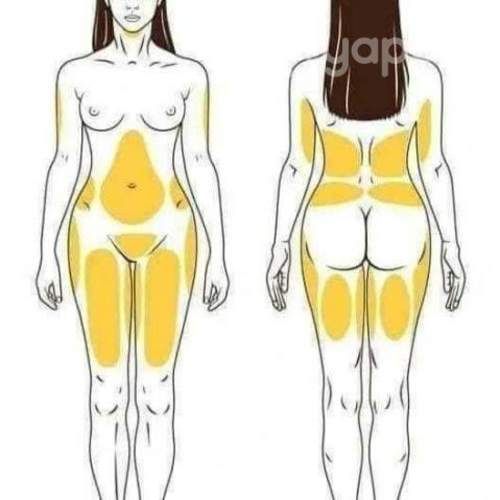 Rodillo mazorca ideal maderoterapia stgo gratis