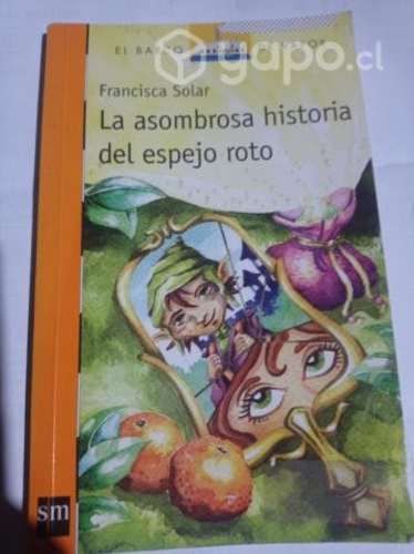Libro la asombrosa historia del espejo roto