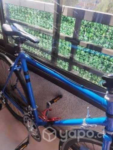 Bicicletas fixie