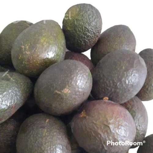 Palta hass por mayor sobre 10k