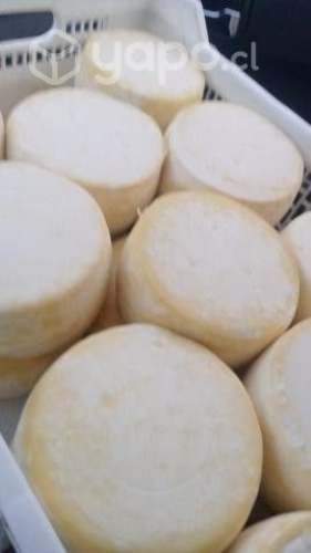 Quesos pasteurizados 1kg aprox