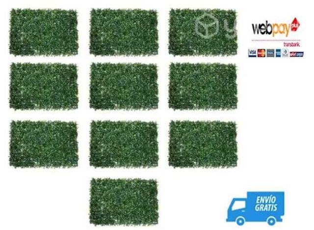 Pack 10 Unidades Pasto Palmeta + Envio Gratis