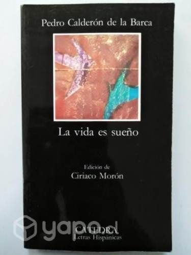 Pedro Calderón de la barca - La vida es sueño