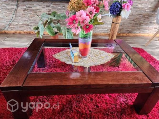 Sitiales + mesa de centro