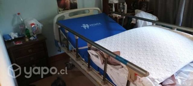 Catre clinico 3 posiciones manual