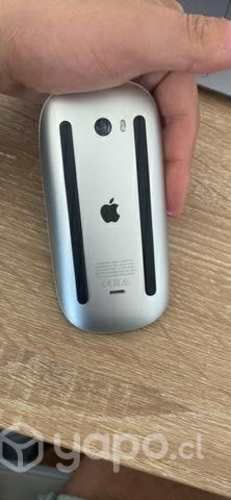 Apple mouse