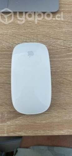 Apple mouse