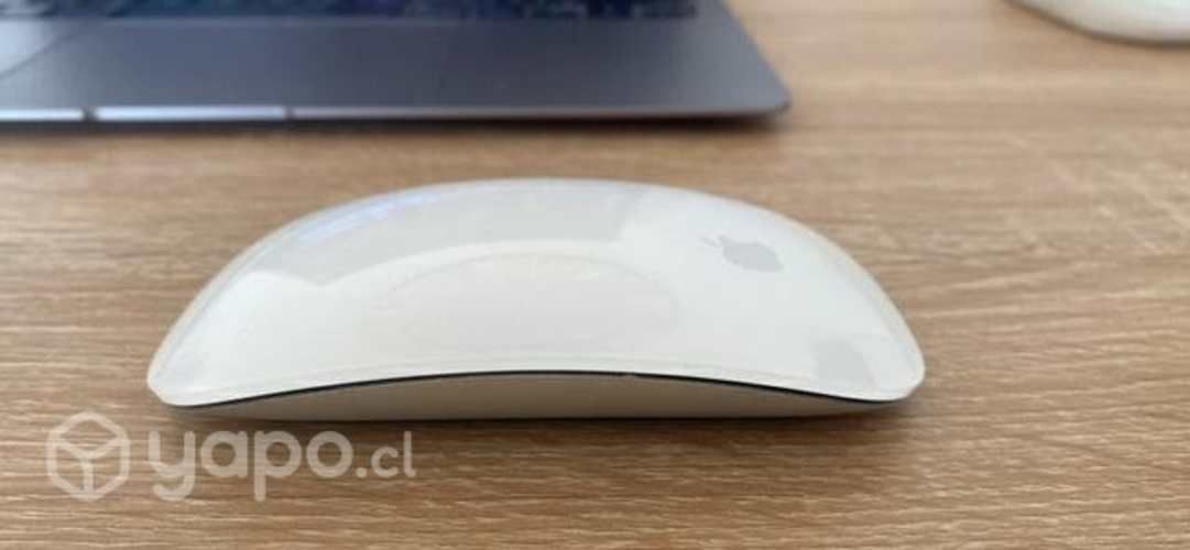 Apple mouse