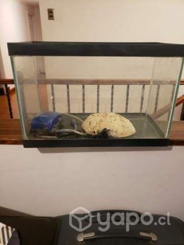Acuario con accesorio