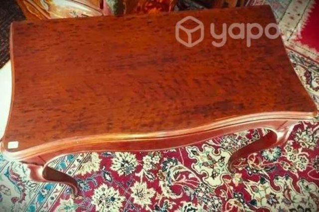 Elegante antiguo arrimo frances raiz Tuya (thuja)