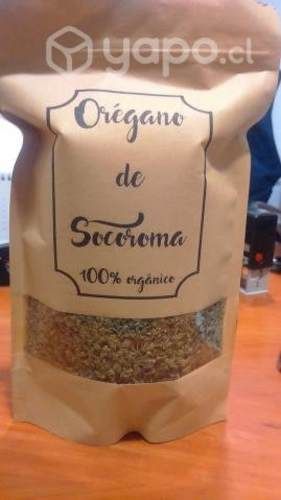 Orégano de socoroma