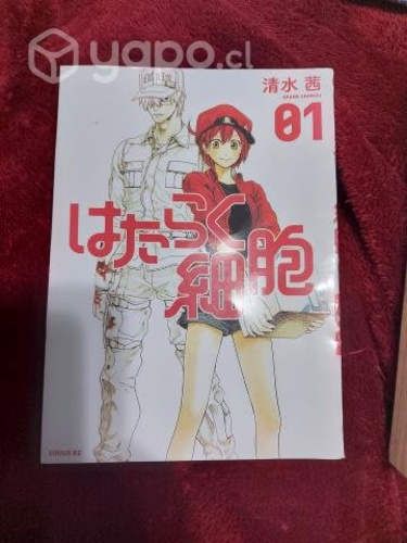 Tomo 1 de los mangas presente en la imagen