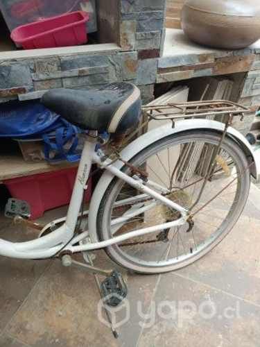 Bicicleta paseo