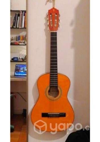 Guitarra palmer kids nueva