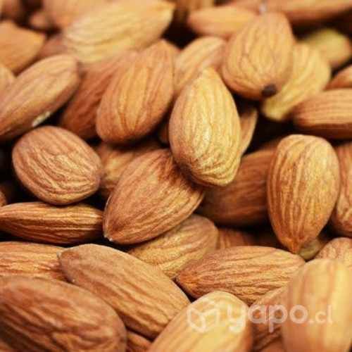 Almendras enteras non pareil de la temporada