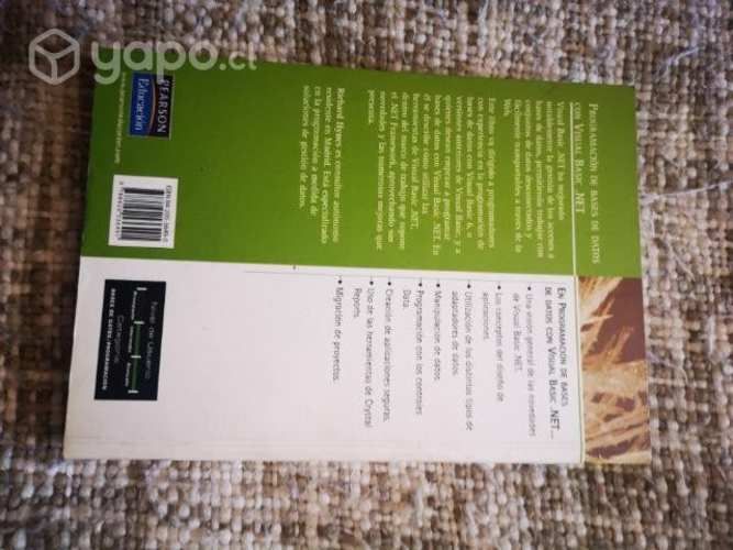 Programacion de bases de datos con visual basicnet