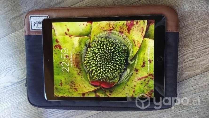 IPad 10,2" Modelo A2197