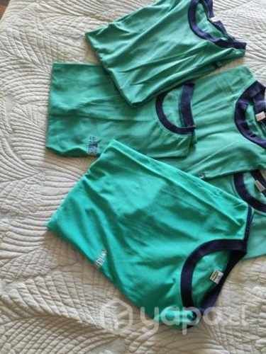 Poleras colegio antilhue