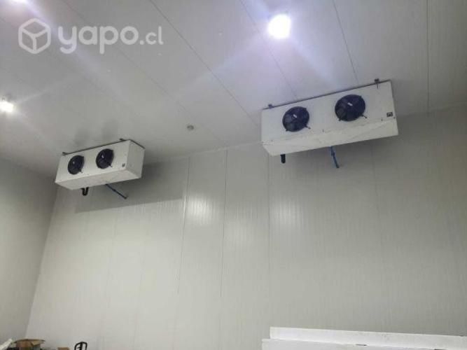 Frigorifico Peumo 6ta Region