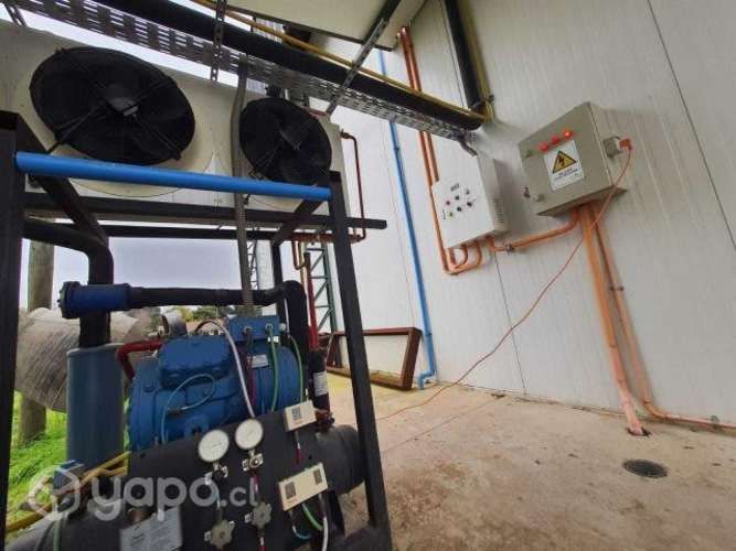 Frigorifico Peumo 6ta Region