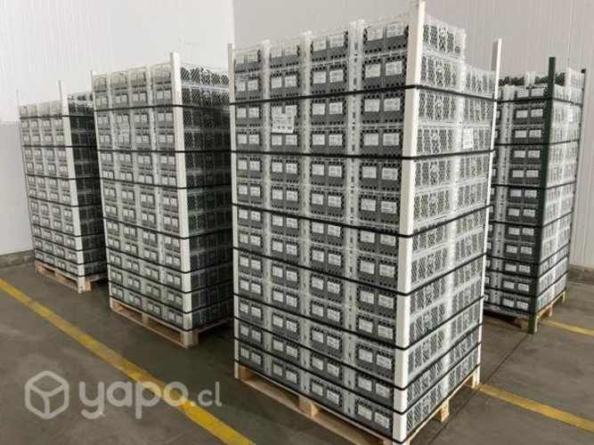 Frigorifico Peumo 6ta Region