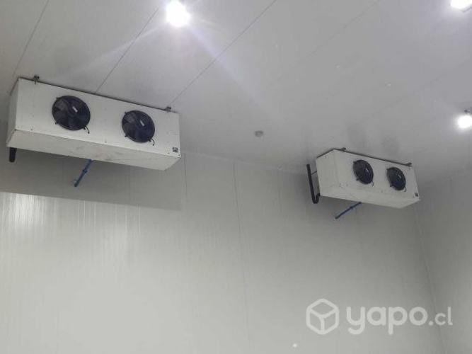 Frigorifico Peumo 6ta Region