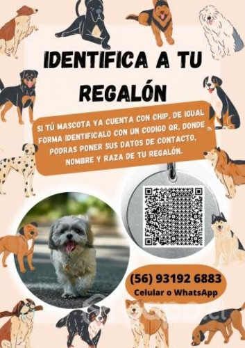 Medallitas con Codigo QR