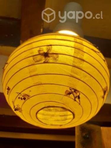 Hermosas Pantallas de papel con Diseños Únicos