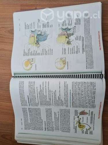 Libro de anatomía Moore