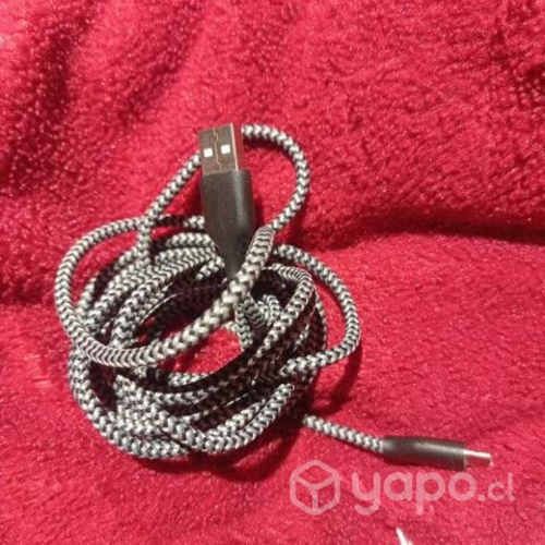 Cargador de 1M tipo C