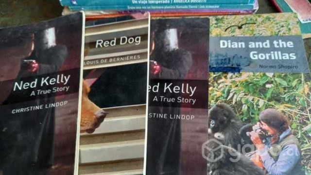 Libros en ingles lectura colegios